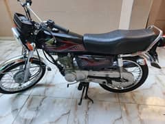 Honda 125 23/24