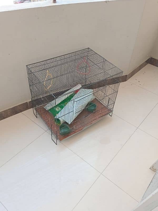 Cage For Parrots or any bird 2