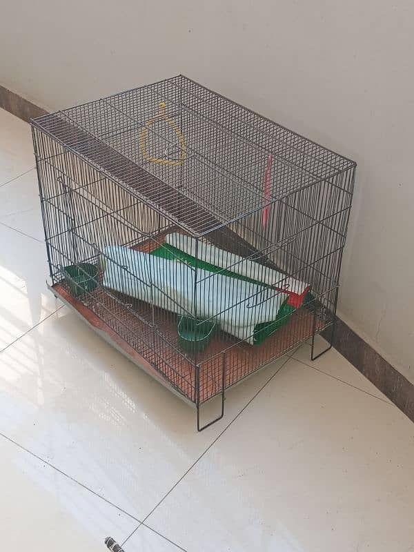 Cage For Parrots or any bird 3