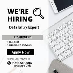 Data Entry Expert/Data Entry