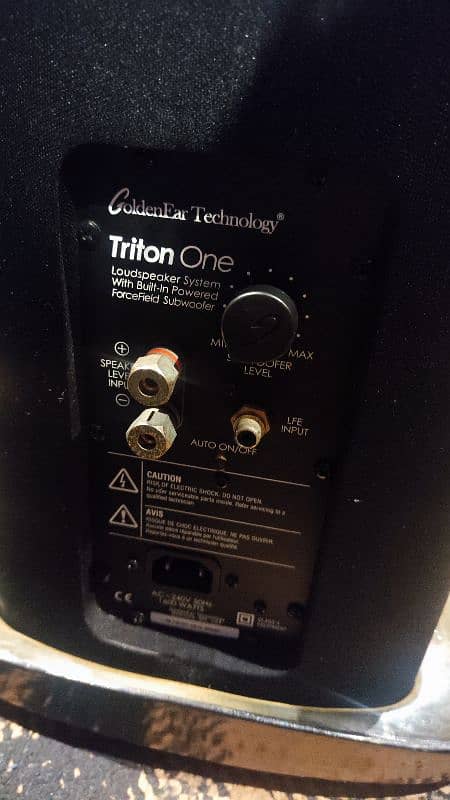 Goldenear Triton one 1 Hifi Audiophile Active Loudspeaker 4