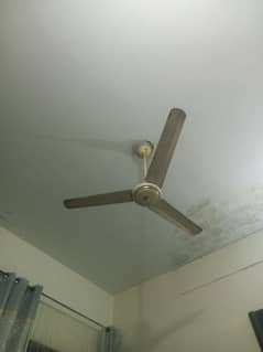 used pak celling fan  sufi fan 5