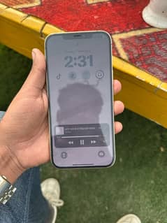 Iphone 12 Pro Max 256GB PTA Approved Dual Physical Sims