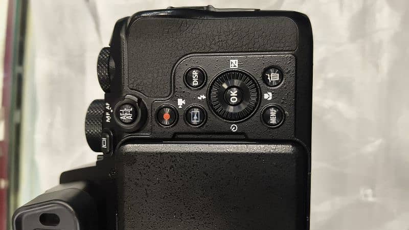 Nikon p950 10