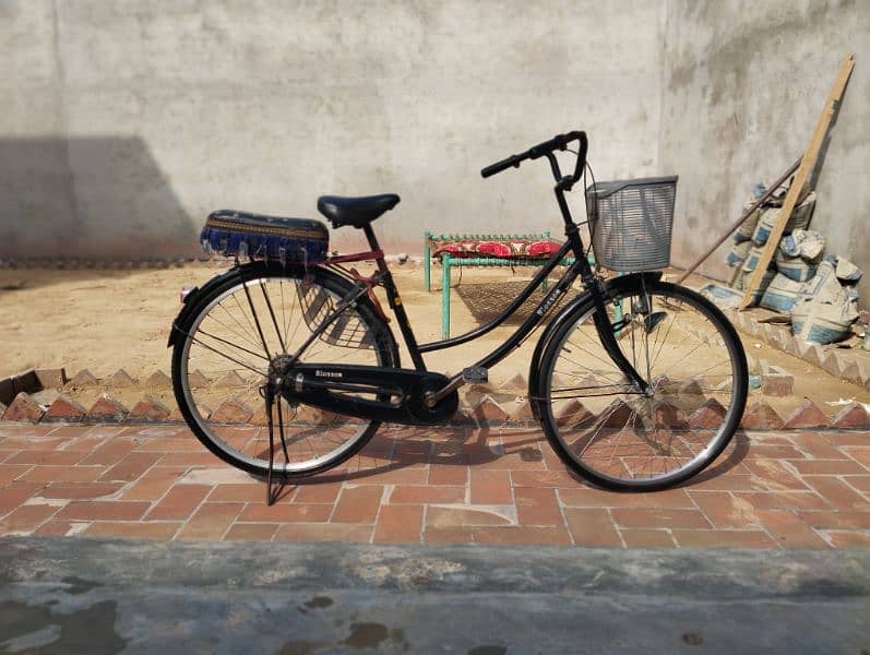 japani bicycle 9/10 0