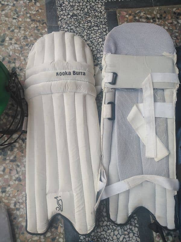 Cricket kit 2