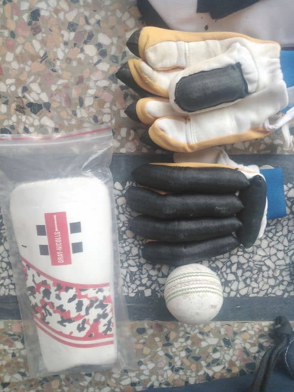 Cricket kit 4