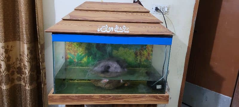 Big size of fish aquarium  reasonable  price 0