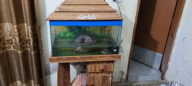 Big size of fish aquarium  reasonable  price 1