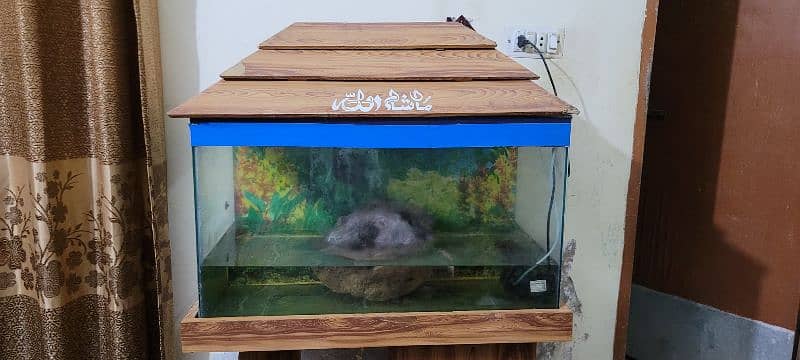 Big size of fish aquarium  reasonable  price 2