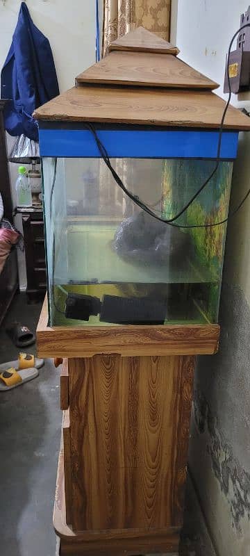 Big size of fish aquarium  reasonable  price 4