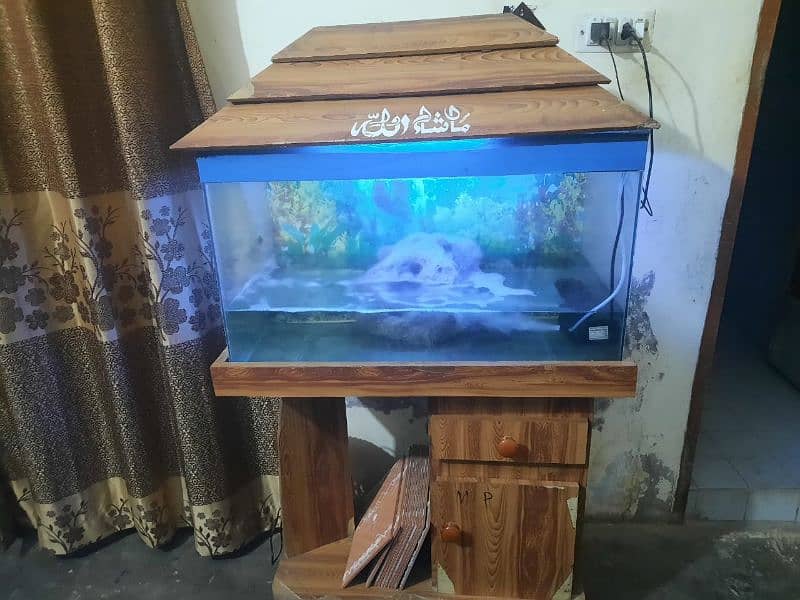 Big size of fish aquarium  reasonable  price 5