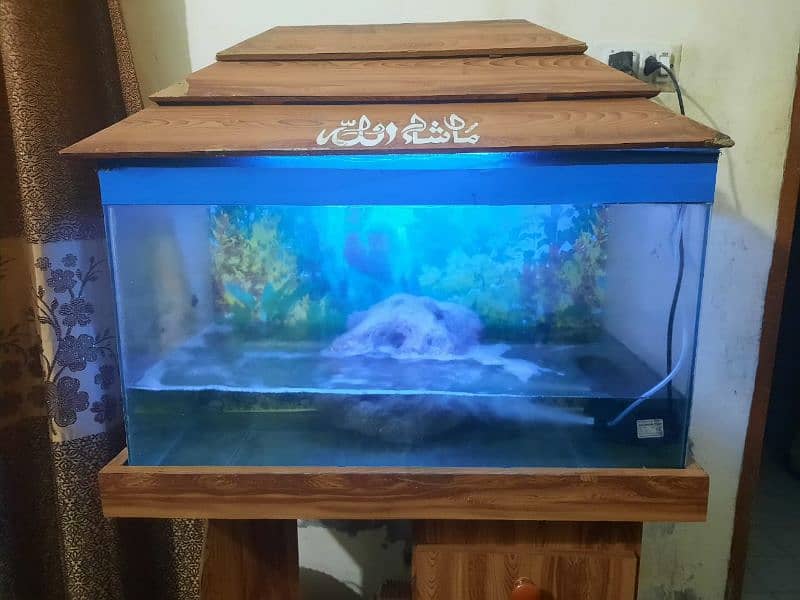 Big size of fish aquarium  reasonable  price 6