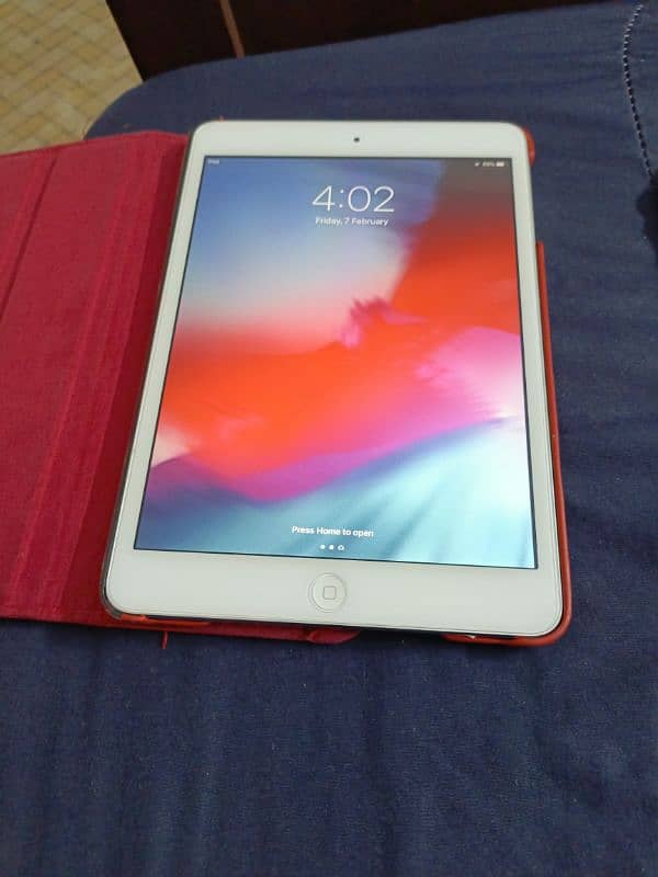 Ipad Mini 2 7