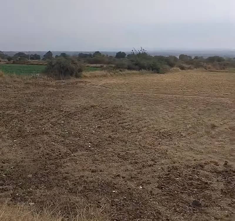 215 kanal agricultural land for sale in balksar 3