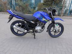 Yamaha YBR G