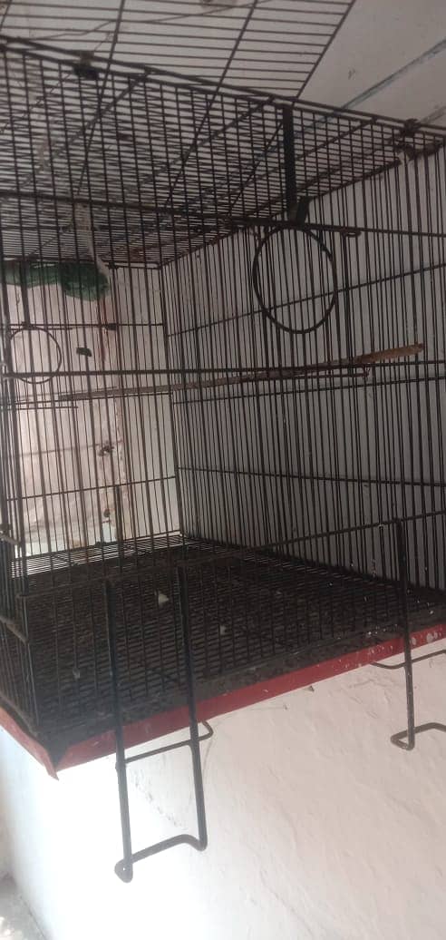 Pinjra for sale master cage 2