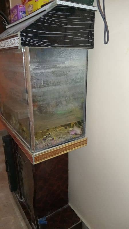 Aquarium with wood stand in good condition 3