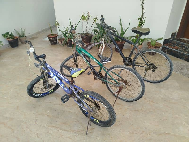 Blue cycle in offer. Used cycle in good condition with no problems. 1