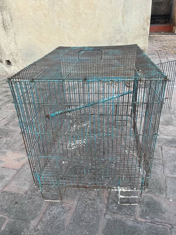 bird cage 4