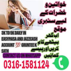 Online Earning Platform