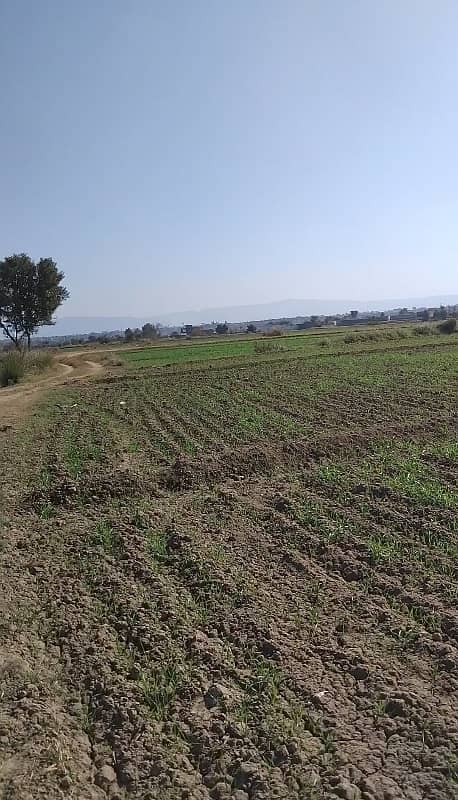 265 kanal agricultural land for sale in nella dullah 1