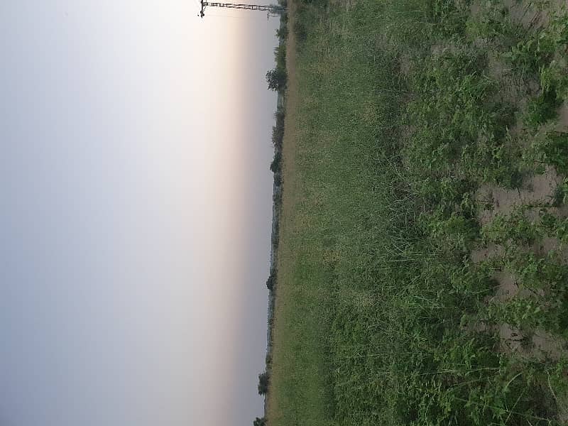 265 kanal agricultural land for sale in nella dullah 4