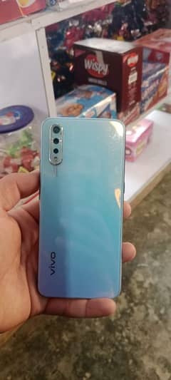 vivo