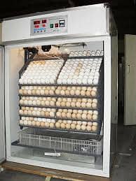 Incubator | Egg Hathing Machine | Autometic | Manual | Semi autometic