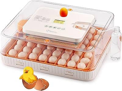 Incubator | Egg Hathing Machine | Autometic | Manual | Semi autometic 7