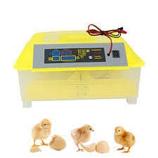 Incubator | Egg Hathing Machine | Autometic | Manual | Semi autometic 18