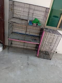 8 portion cage for sale