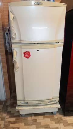 PEL Refrigerator used