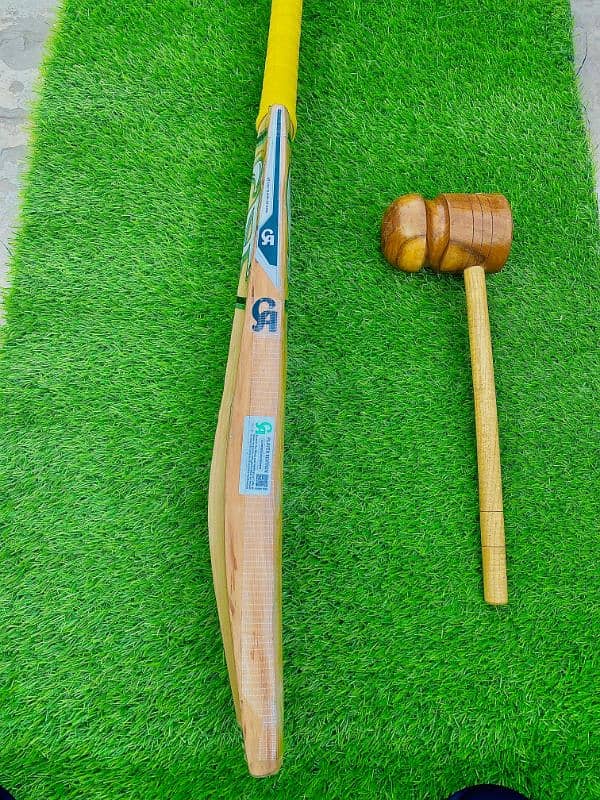 CA JR20 (JASON ROY) Addition 2