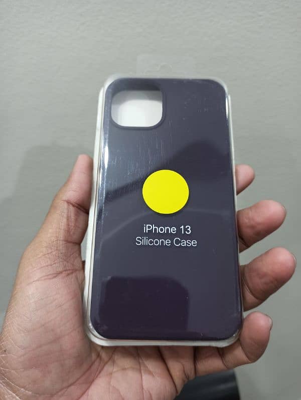 iPhone Silicone Case & Cover 13