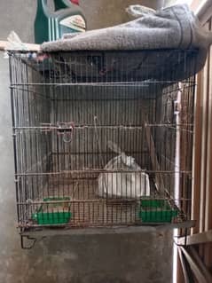 iron cage for sale