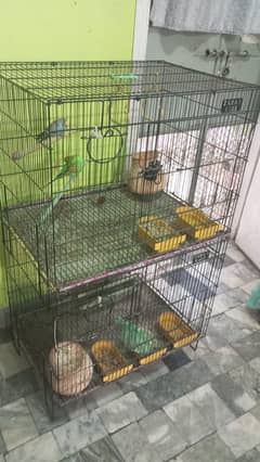 Birds Cage for Sale