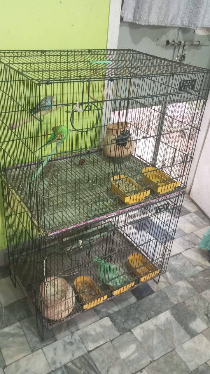 Birds Cage for Sale 0