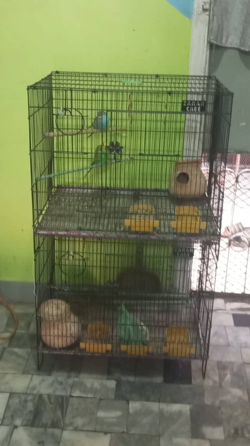 Birds Cage for Sale 1