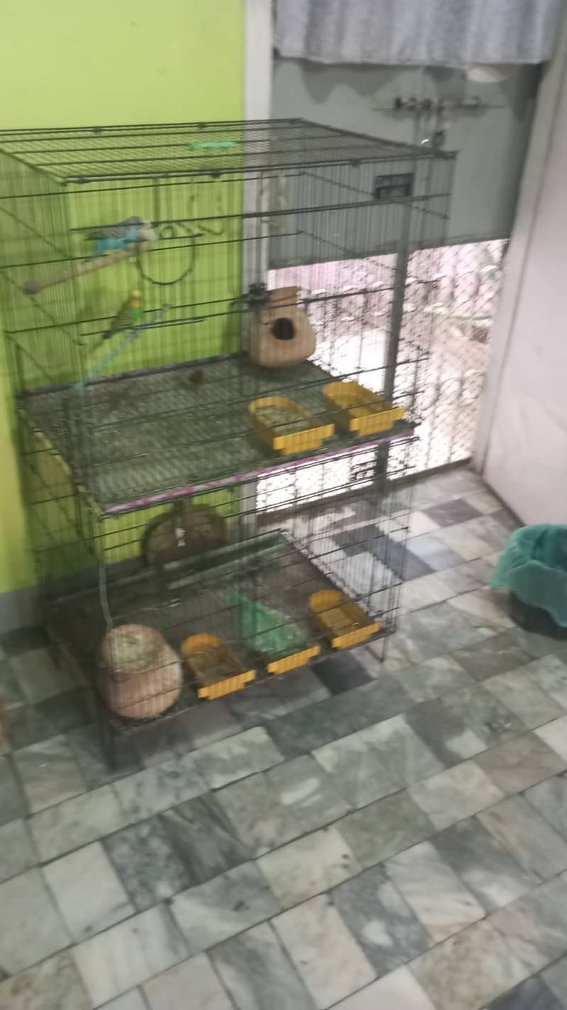 Birds Cage for Sale 2