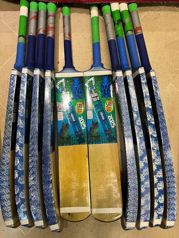 Coconut Bat New 3