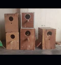 Breeding Box