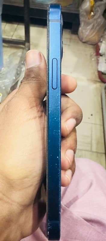 iphone 12 dual pta 3