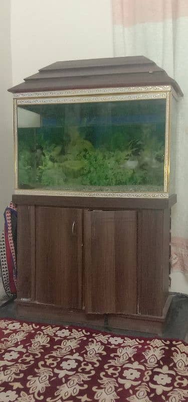 aquarium with fish available 0