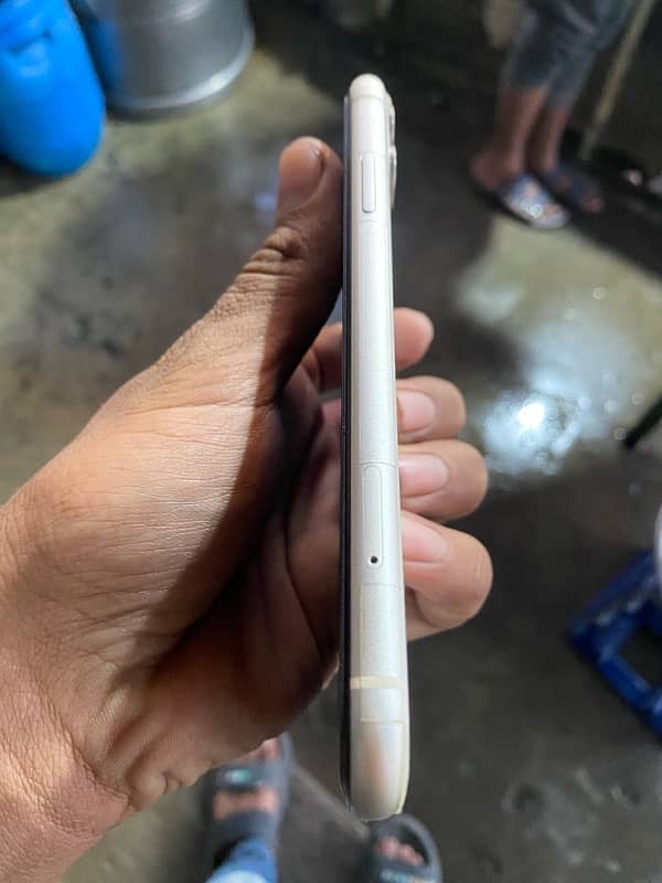 iphone 11 dual pta approves 2