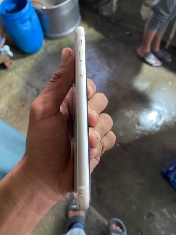 iphone 11 dual pta approves 3