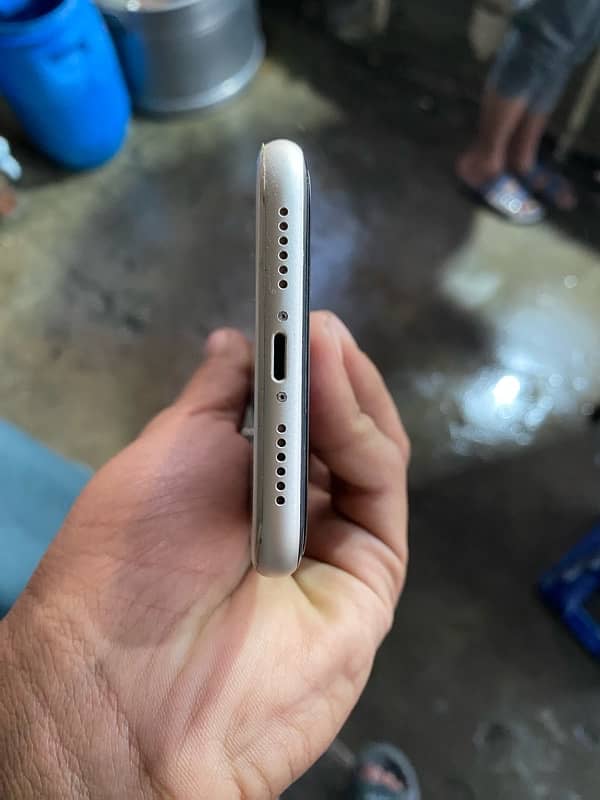 iphone 11 dual pta approves 5