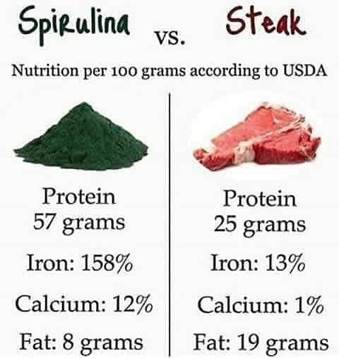 "Spirulina – The Ultimate Superfood for Energy & Health 1