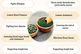 "Spirulina – The Ultimate Superfood for Energy & Health 3