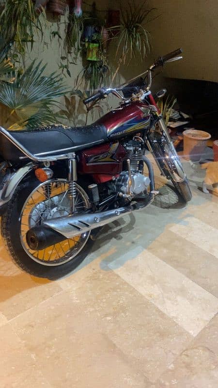 honda 125 urgent for sale 1